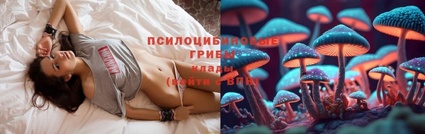 дмт Беломорск