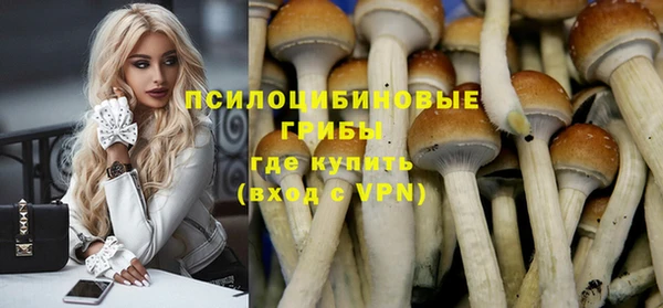 дмт Беломорск