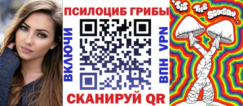 Купить где Белоусово Галлюциногенные грибы GOLDEN TEACHER