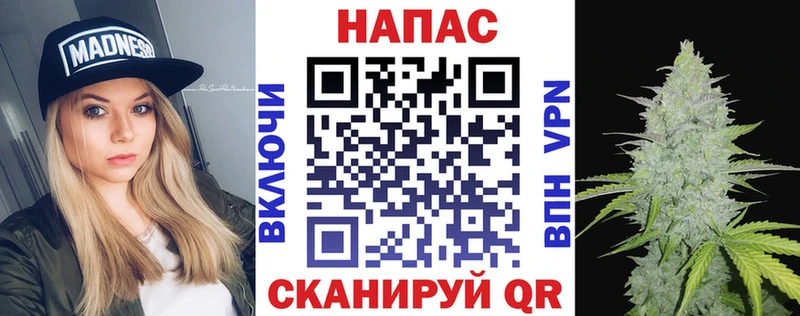 Купить где  Белоусово  Каннабис ГИДРОПОН 